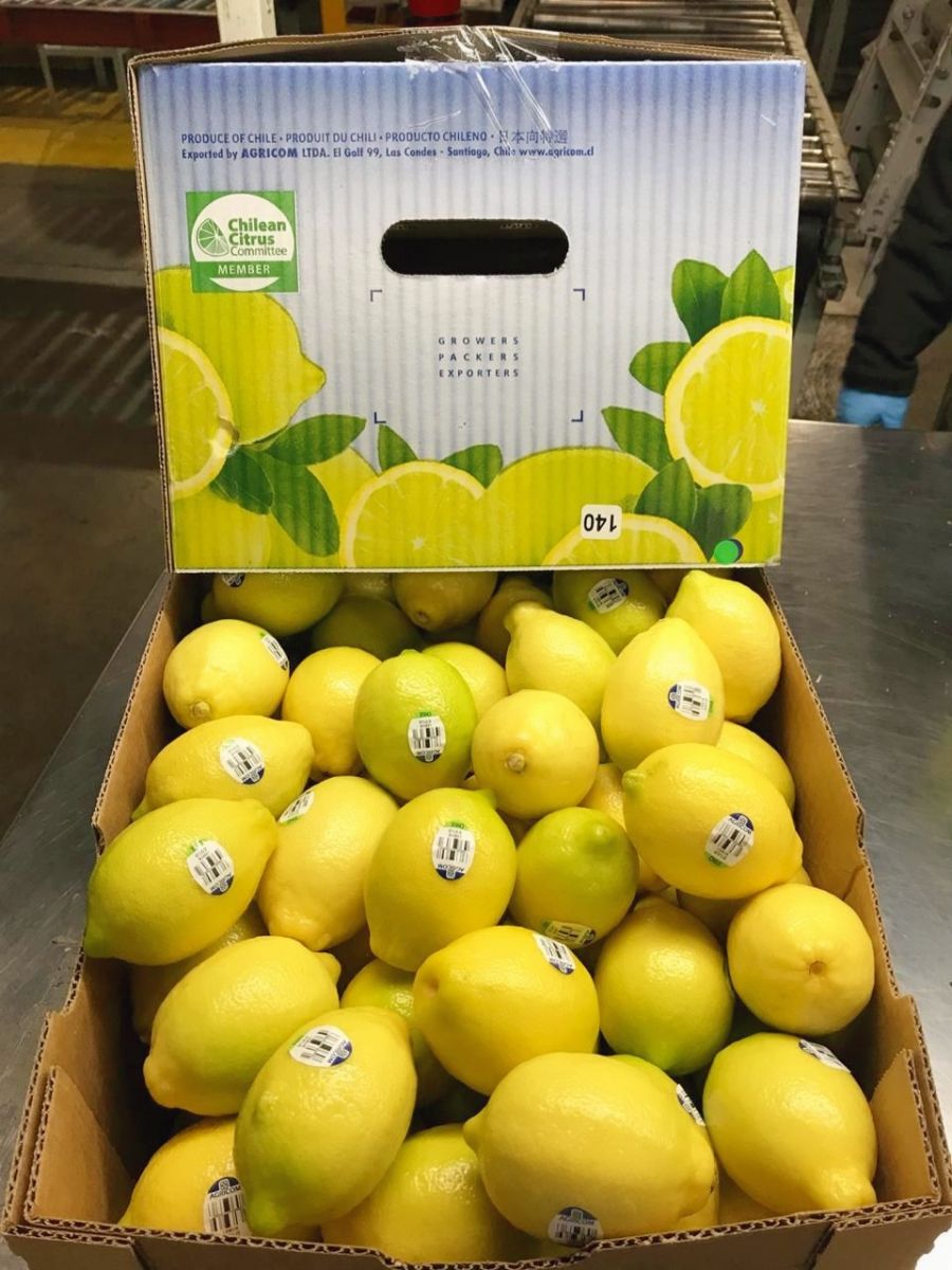 First Shipment of Chilean Lemons Arrives in China Produce Report